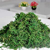 IMIKEYA 1 Bolsa de liquen de Musgo Artificial simulación de Musgo preservado Plantas Verdes Faux liquen Musgo Falso para…